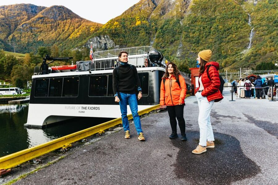 Bergen: Self-Guided Round-Trip Full-Day Excursion - Price and value at $493