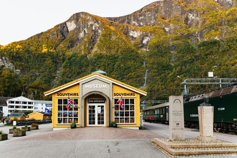 Bergen: Self-Guided Round-Trip Full-Day Excursion - Voss to Gudvangen by bus
