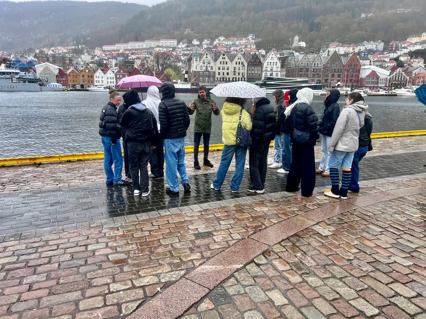 Bergen: Sightseeing Walking Tour with Ferry Ride - The 30-minute ferry ride: Bergen from the water