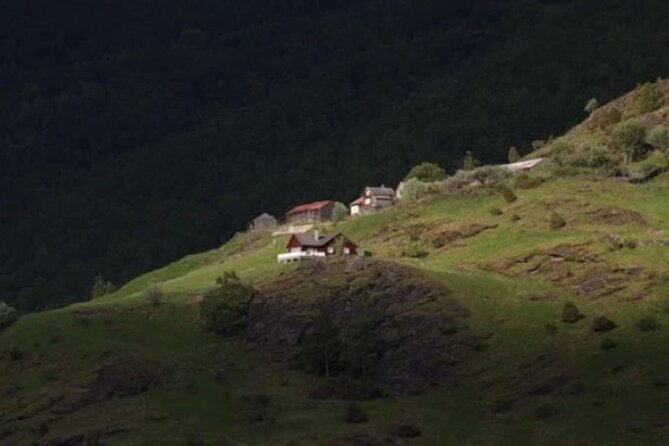 Bergen to Flam "The King of Fjords" One-Way or Round-Trip Cruise Ticket - Arriving in Flåm and using your free time