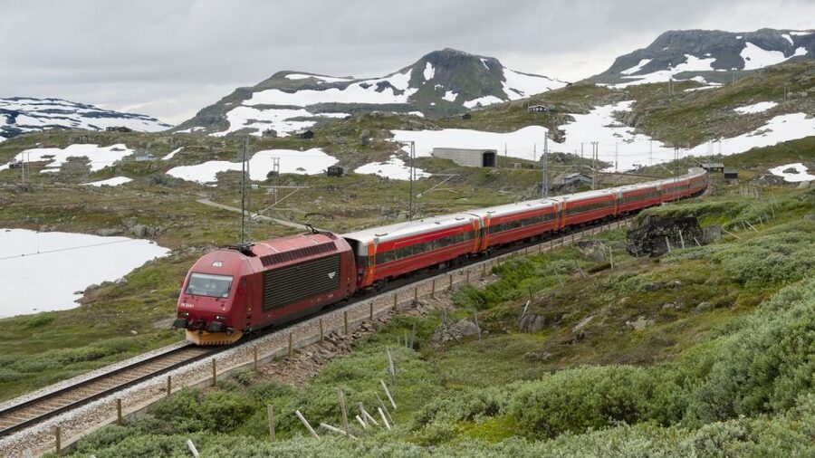 Bergen: Viking Village, Nærøyfjord Cruise & Flåm Railway - Should you book the Bergen fjord and railway tour?