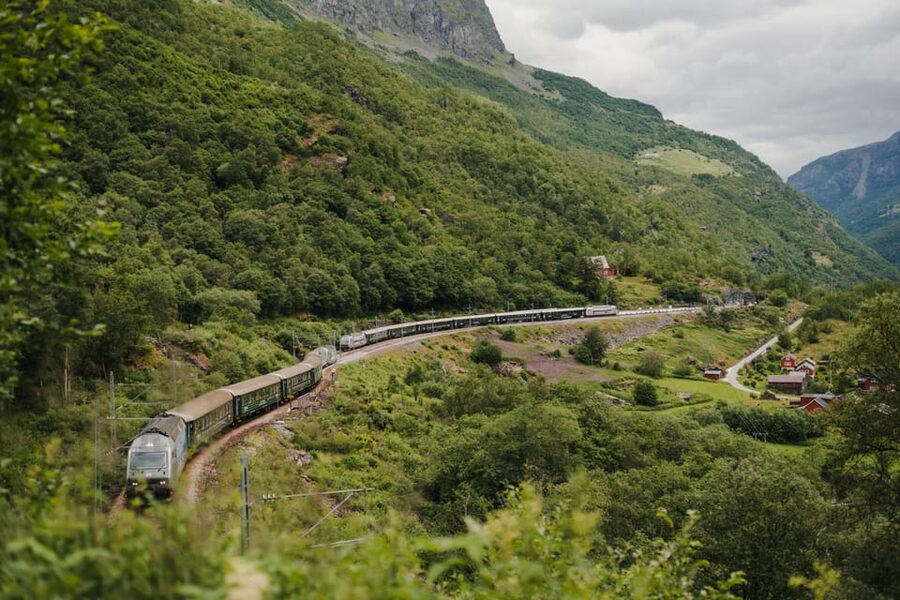 Bergen: Viking Village, Nærøyfjorden Cruise and Flåm Railway - Meeting the Vikings at Njardarheimr