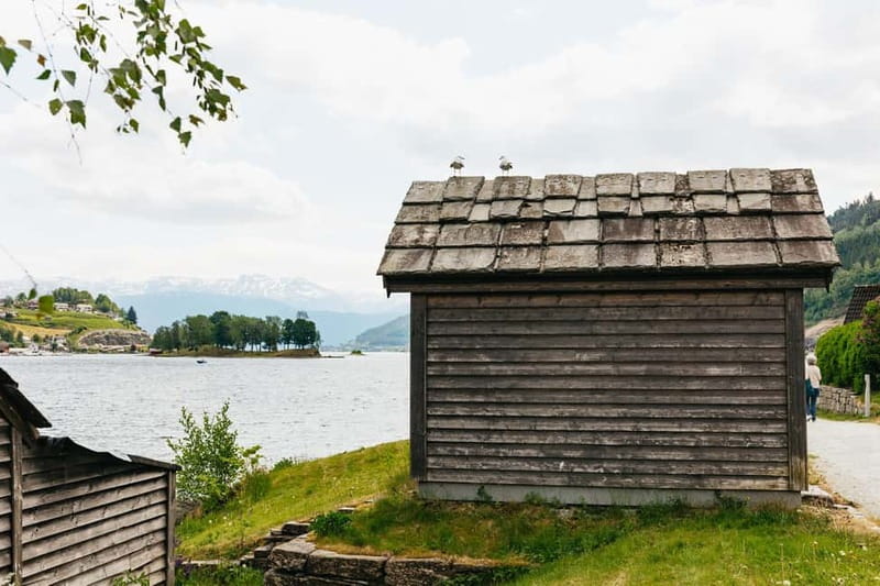 Bergen: Waterfalls of Hardangerfjord Shore Excursion - The coach ride home and the value of the guide