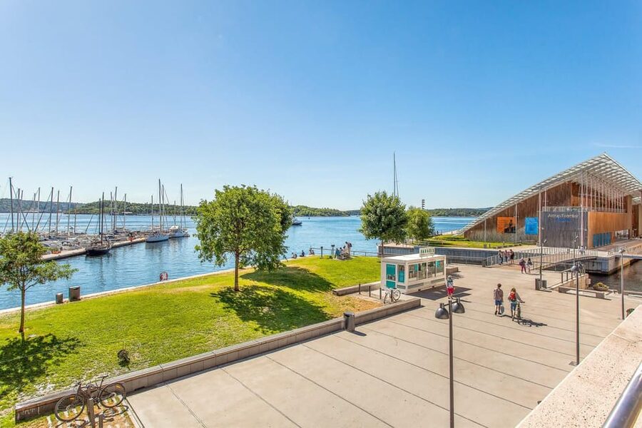 Best of Oslo: Walking Tour with a local guide - The Opera House and Bjørvika waterfront