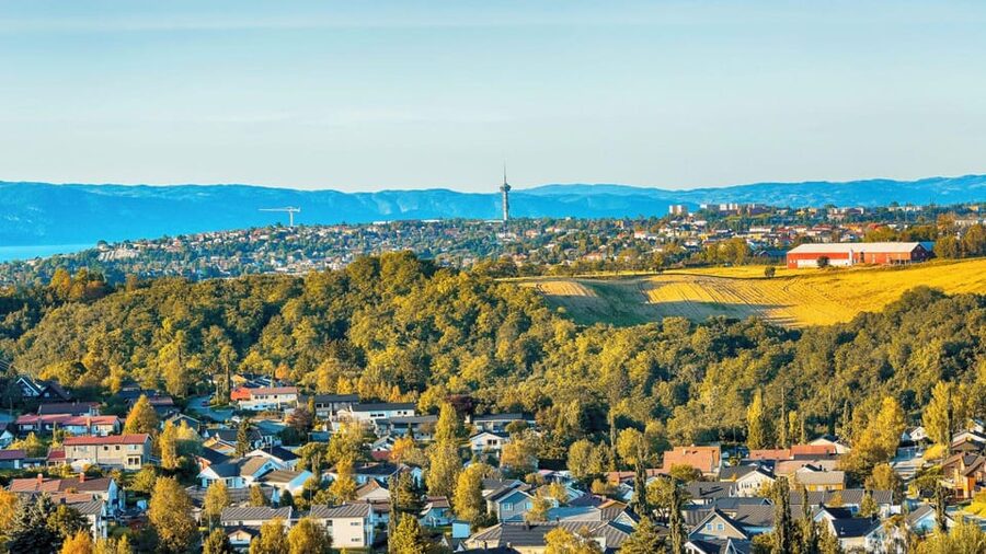 Best of Trondheim: Private Walking Tour with a Local - Torget Square and local food advice