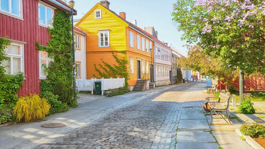 Best of Trondheim: Private Walking Tour with a Local - How the flexible itinerary works