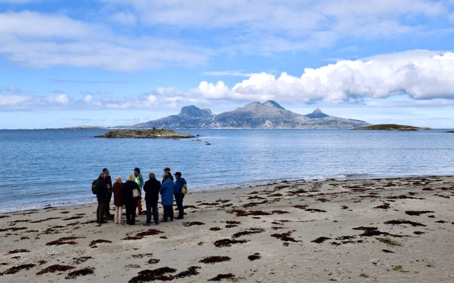 Bodø: Arctic Coastal Walk - From Hurtigruten Quay to the beach