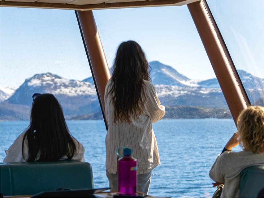 Bodø: Beiar Fjord & Saltstraument Cruise - Who will enjoy this cruise most?