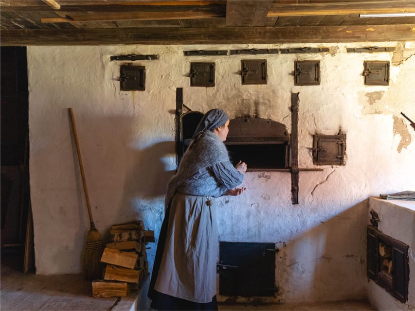 Bodø: Kjerringøy & Silent Coastal Cruise - Five things to know before you book