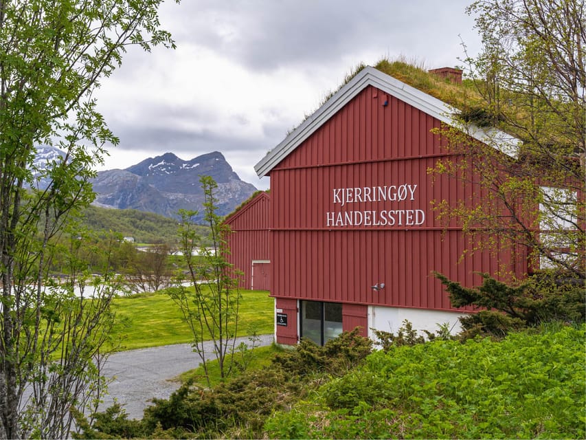 Bodø: Kjerringøy & Silent Coastal Cruise - Why this half-day trip works in Bodø