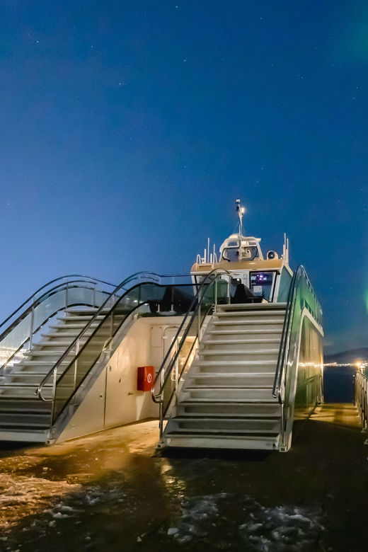 Bodø: Northern Lights Cruise - What the guide adds during the wait