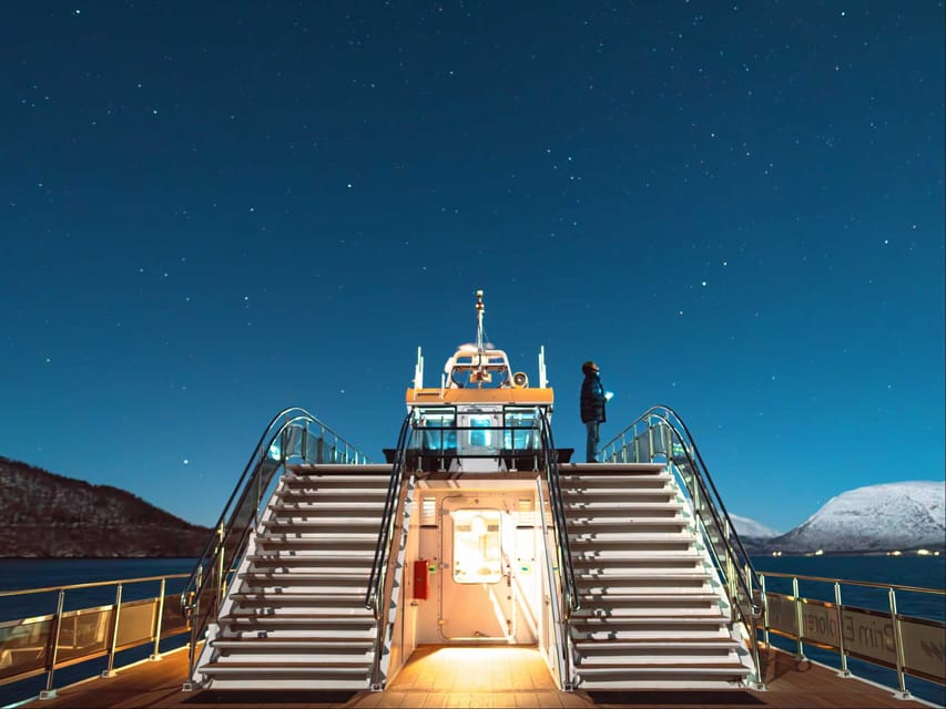 Bodø: Northern Lights Cruise - Who will enjoy this cruise most?