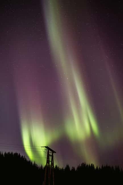 Bodø: Northern Lights safari - Photographing the aurora with a phone