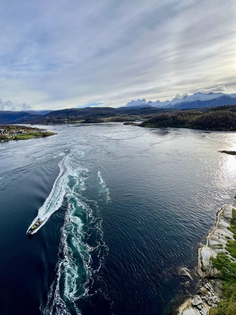 Bodø: Saltstraumen RIB Safari - Key points to know before you book