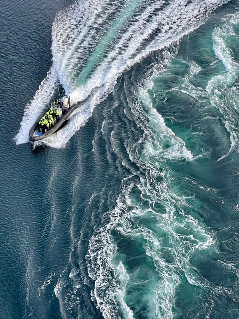 Bodø: Saltstraumen RIB Safari - From Bodø harbor to open water