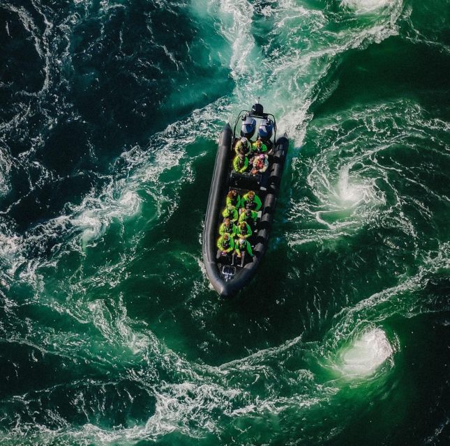 Bodø: Saltstraumen Sea Eagle Trip by RIB - Key points to know before you book