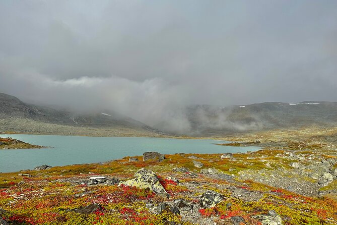 Briksdal Glacier and Loen from Nordfjordeid - Reaching Briksdalbreen by Troll car