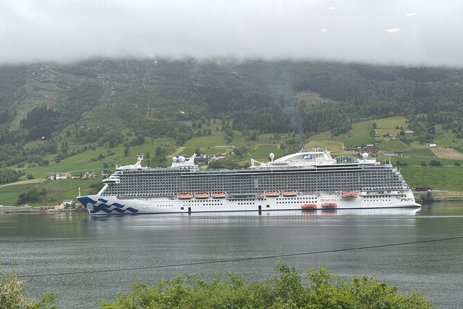 Briksdal Glacier and Loen Skylift day Excursion - Key points to know before you book