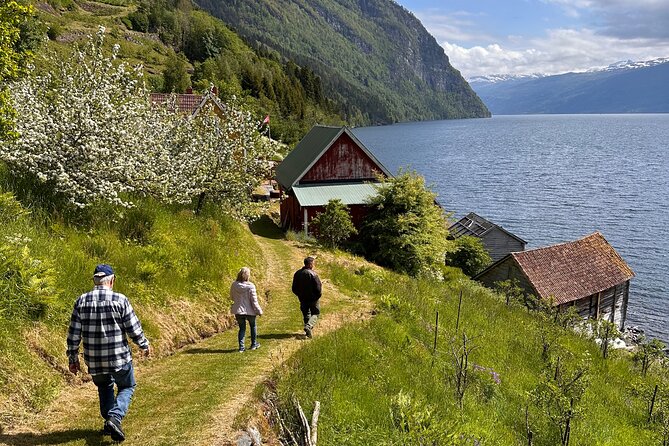 Briksdal Glacier and Loen Skylift day Excursion - Booking timing and cancellation details