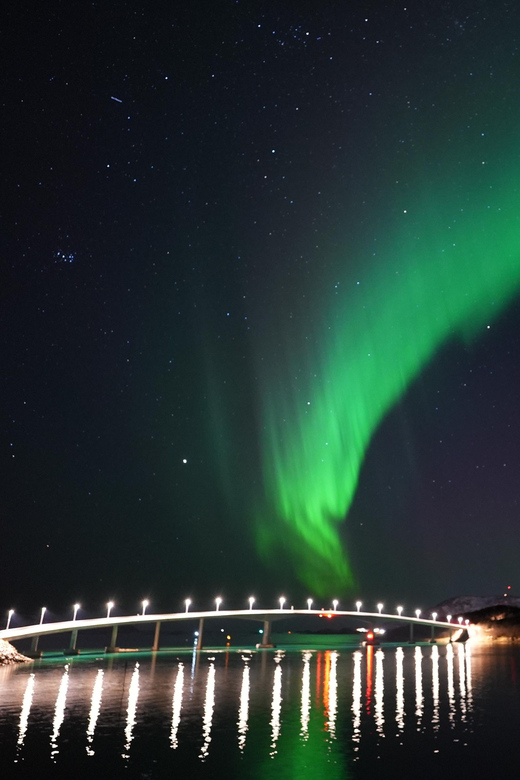 Chase the Magic of the Northern Lights in Tromsø Norway - Leaving Tromsø from the city library