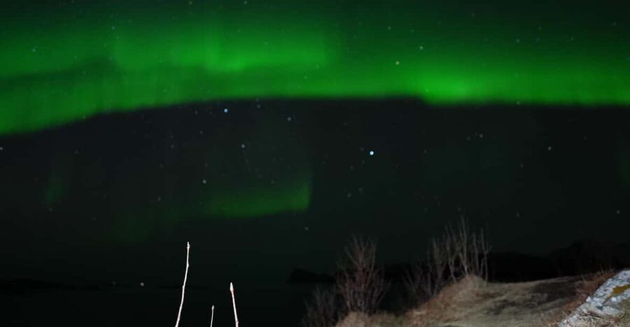 Chase the Magic of the Northern Lights in Tromsø Norway - The minibus ride and group size