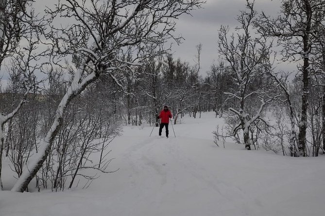 Cross-Country Ski Lesson for Beginners in Tromso - Who will enjoy this best?