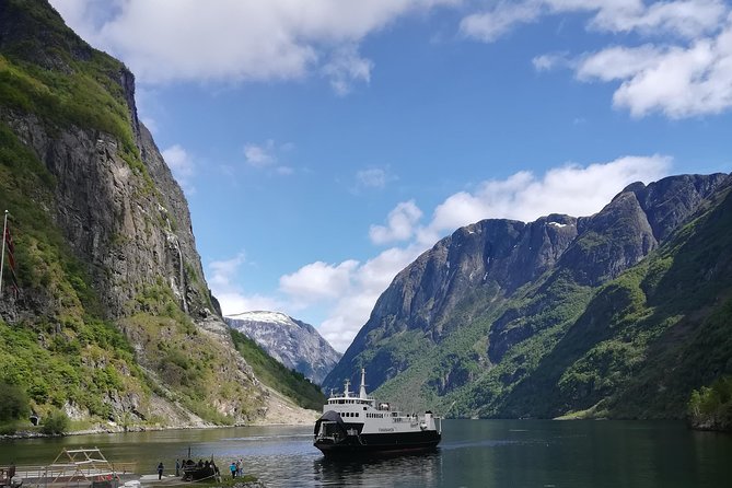 Cruise Special: Private Trip To Canyons And Waterfalls With Flåm Railway - A private minivan versus a standard group excursion