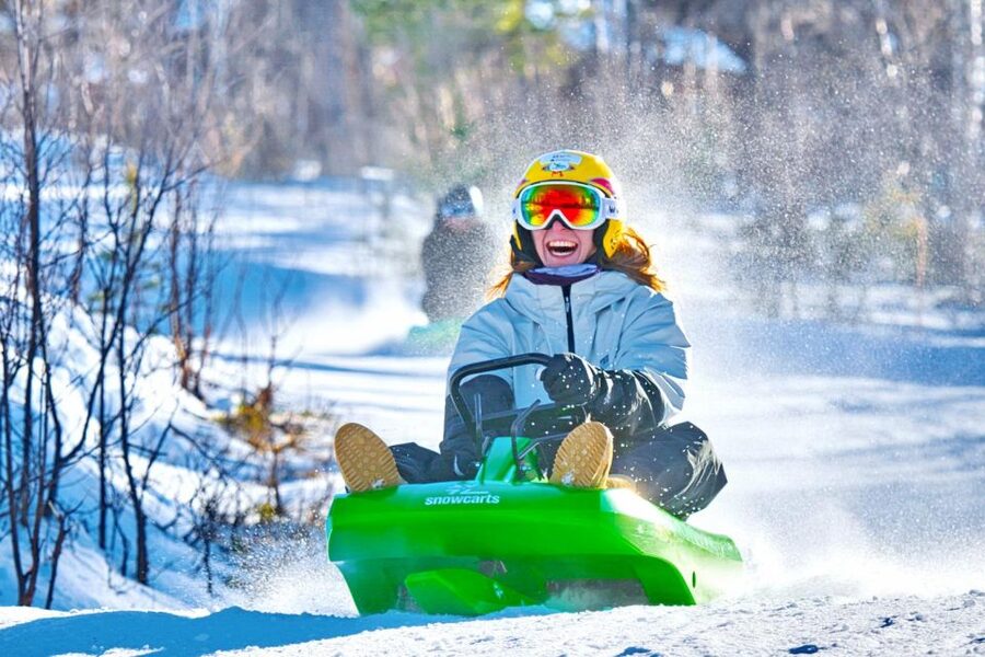 Dagali: 2-Hour Racing Toboggan Adventure - Who will enjoy this most?