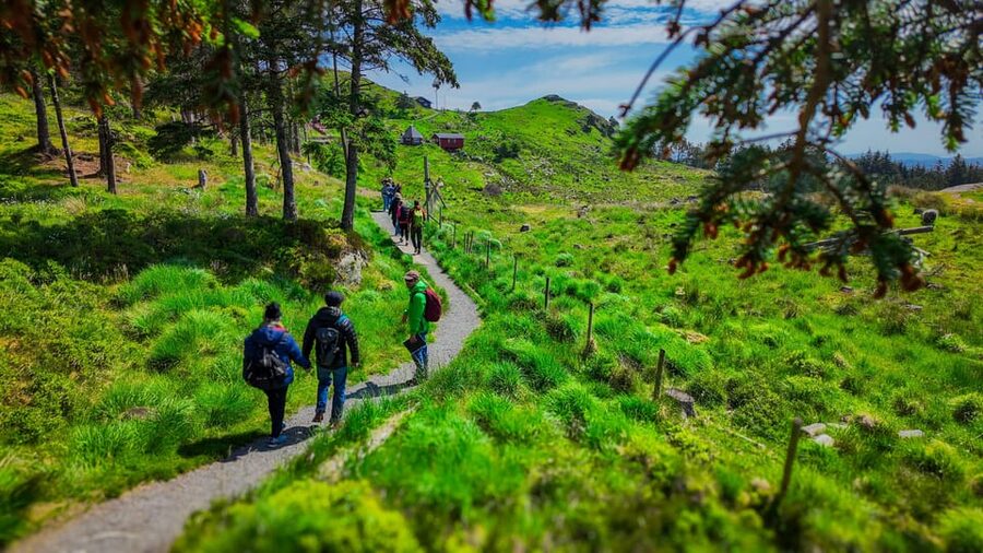 Discover Haugesund and visit a local mountain farmer - From Haugesund Cruisehavn to the hills above town