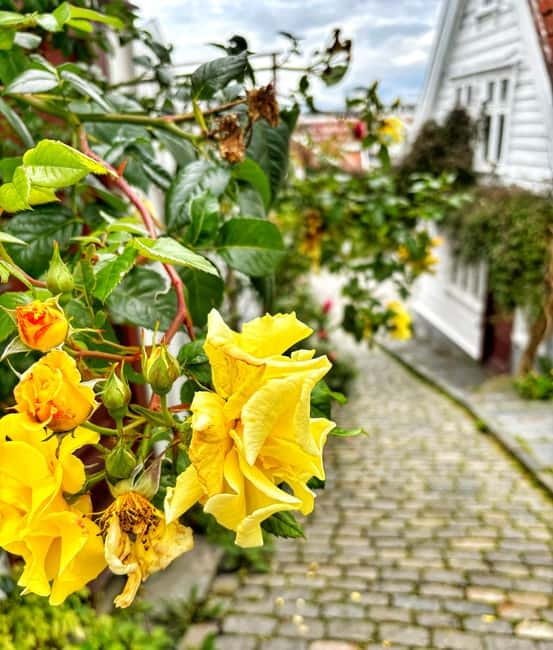 Discover Private+ Stavanger Guided City Tour - Key points to know before you book