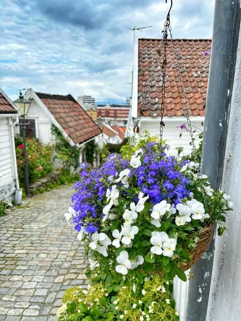 Discover Private+ Stavanger Guided City Tour - Why this Stavanger tour works well at the start of a trip