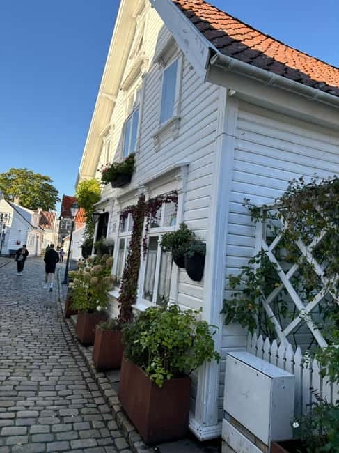 Discover Private+ Stavanger Guided City Tour - Fixed highlights with room for your own interests