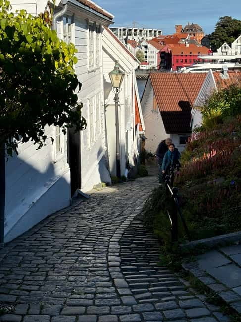 Discover Private+ Stavanger Guided City Tour - Adding museums or the Viking House