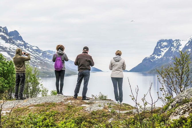 Discover the Fjords of Kvaloya - a roadtrip along fjords and fishing villages - Why Kvaløya makes a fine half-day escape