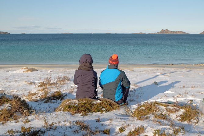 Discover the Fjords of Kvaloya - a roadtrip along fjords and fishing villages - Wildlife is possible, but the fjords are the main event