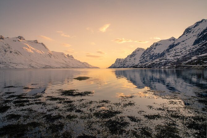 Discover the Fjords of Kvaloya - a roadtrip along fjords and fishing villages - The Kvaløya drive: scenery first, stories second