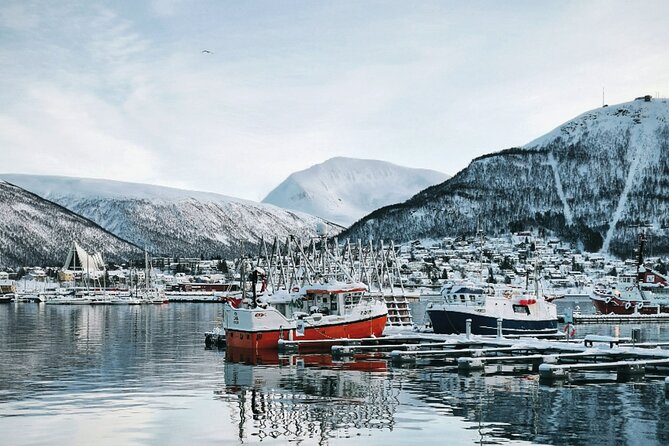 Discover the most Photogenic Spots of Tromsø with a Local - Starting at Tromsdalen Church