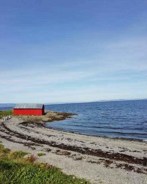 Discovery hike along the Trondheimsfjord - From Korsvika to the Østmarka German bunker