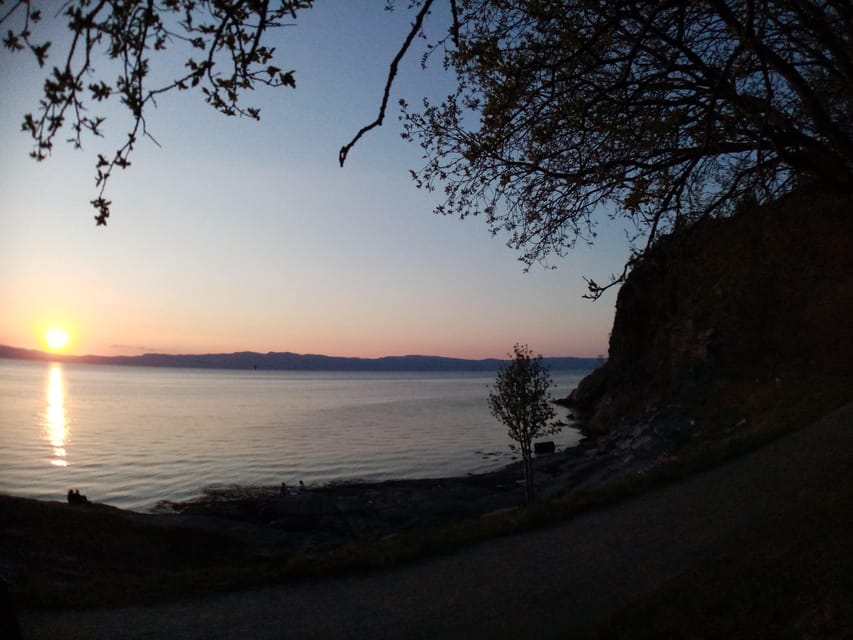 Discovery hike along the Trondheimsfjord - Devlebukta, beaches, and the final stretch