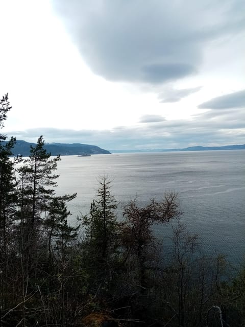 Discovery hike along the Trondheimsfjord - Who should book this Trondheim Fjord hike?