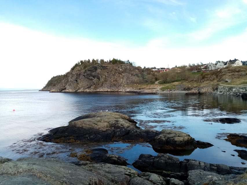Discovery hike along the Trondheimsfjord - Starting at Korsvika beside the Trondheim Fjord