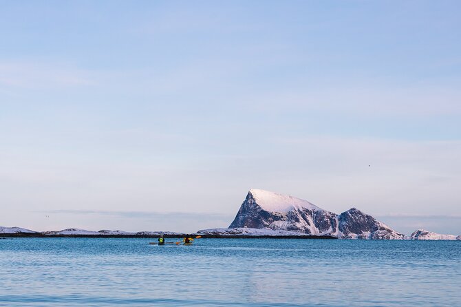 Discovery tour of the island of Senja and Kvaløya from Tromsø - Why Senja makes the long day worthwhile