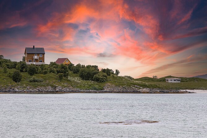 Discovery tour of the island of Senja and Kvaløya from Tromsø - How the guides shape the experience