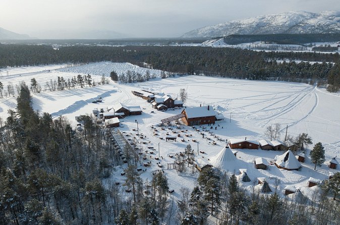 Dog Sled Tour and Husky Cuddles - One hour through Alta’s snowy scenery