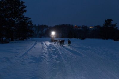 Dog Sled Tour and Husky Cuddles