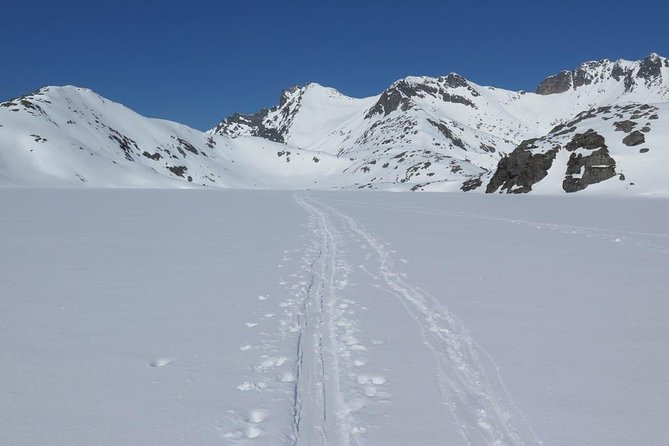 Eco friendly snowshoeing in Scenic Landscape - Riding the Arctic Tesla X
