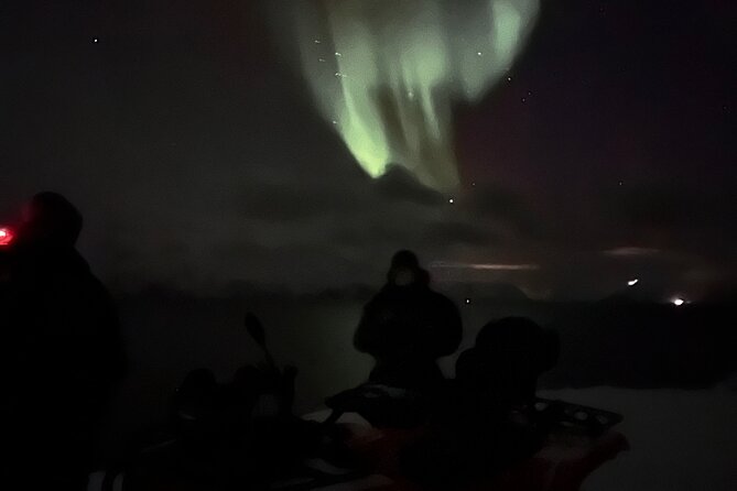 Evening Tour and Aurora Borealis Sightseeing in Norway by ATV - Is $257.24 good value?