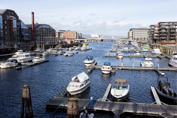Exclusive Guided & Customized Private Oslo City Tour in Limo - The old fortress and the royal route
