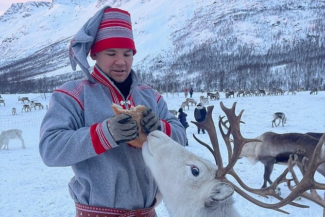 Exclusive Reindeers Experience in small groups, Tromso - Tea, soup, and a warm cabin