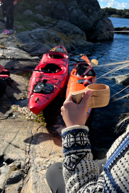 Færvik: Raet National Park Sea Kayaking Trip - Starting at Hove Beach House